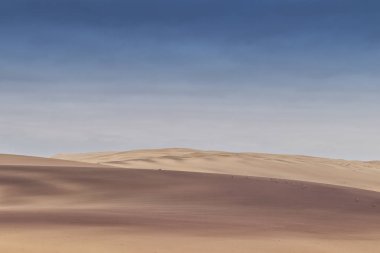 Namibe çöl dunes üzerinde çalışan springbocks grubu. Afrika. Angola.