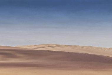 Group of springbocks running on the dunes of the Namibe Desert. Africa. Angola. clipart