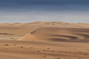 Namibe çöl dunes üzerinde çalışan springbocks grubu. Afrika. Angola.