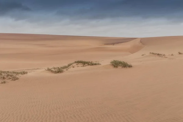 Vista Del Deserto Del Namibe Con Vegetazione Angola Africa — Foto Stock