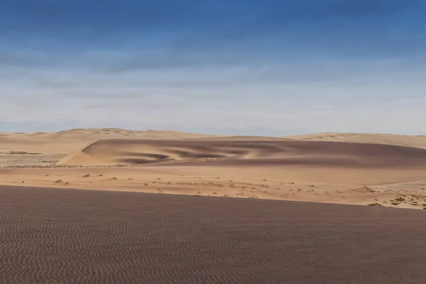 Gruppo Springbocks Che Corrono Sulle Dune Del Deserto Del Namibe — Foto Stock