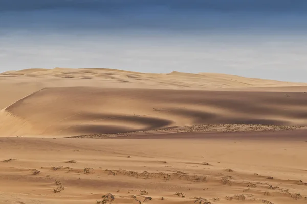 Gruppo Springbocks Che Corrono Sulle Dune Del Deserto Del Namibe — Foto Stock