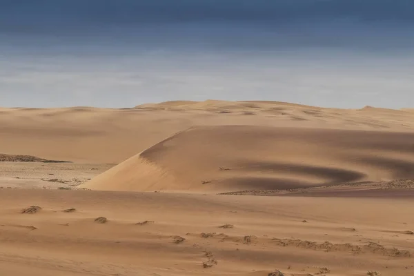 Gruppo Springbocks Che Corrono Sulle Dune Del Deserto Del Namibe — Foto Stock