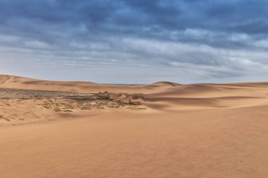 Namibe çöl bitki örtüsü ile fotoğraf tepeleri. Afrika. Angola