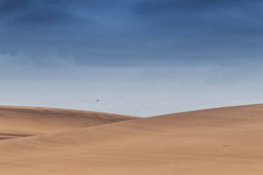 Namibe çöl bitki örtüsü ile fotoğraf tepeleri. Afrika. Angola