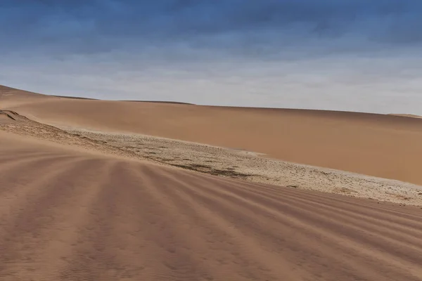 Photograph Dunes Vegetation Namibe Desert Africa Angola — Stock Photo, Image