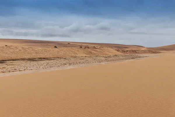 Fotografia Dune Con Vegetazione Del Deserto Del Namibe Africa Angola — Foto Stock