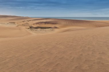 Photograph of dunes with vegetation of the Namibe Desert. Africa. Angola clipart