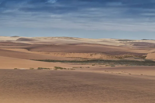 Photograph Dunes Vegetation Namibe Desert Africa Angola — Stock Photo, Image