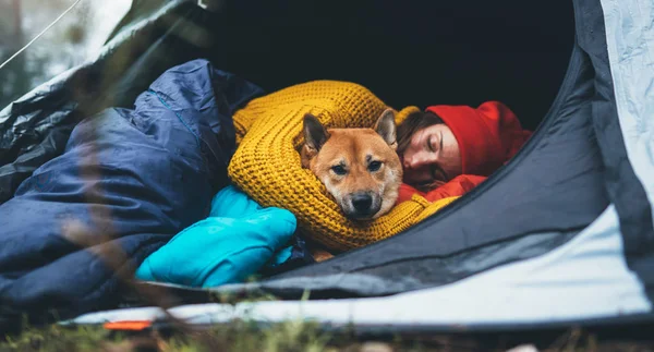 girl hug resting dog together in campsite, red shiba inu tourist sleeping in camp tent , hiker woman leisure with puppy dog relax nature vacation, friendship love concept