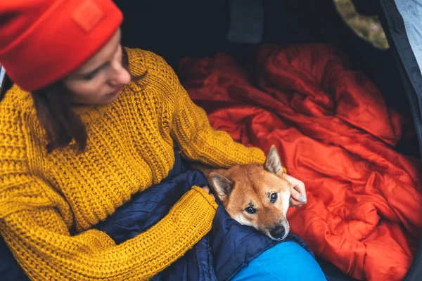 girl hug resting dog together in campsite, close up portrait red shiba inu sleeping in camp tent , hiker woman leisure with puppy dog relax nature vacation, friendship love concept