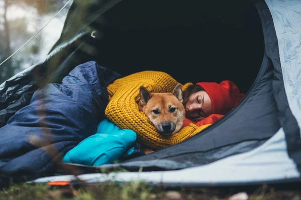 girl hug resting dog together in forest campsite,  red shiba inu traveler sleeping in camp tent , hiker woman leisure with puppy dog relax nature vacation, friendship love concept