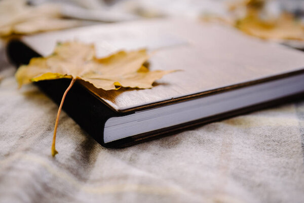 A wedding photobook with a wooden cover on an autumn day lies on a blanket covered with yellow maple leaves