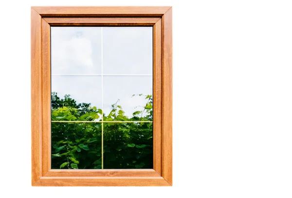 Fenêtre Plastifiée Avec Cloisons Miroir Double Vitrage — Photo