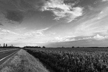 Bulutlu akşam gökyüzünün siyah beyaz görüntüsü