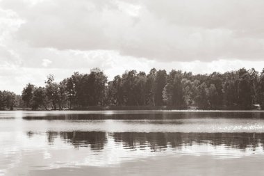 Büyük bir orman gölü manzarası.