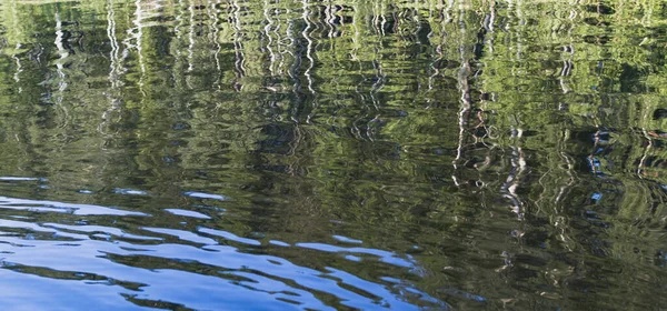 Lesní Stromy Odrážejí Vodě Lesního Jezera — Stock fotografie