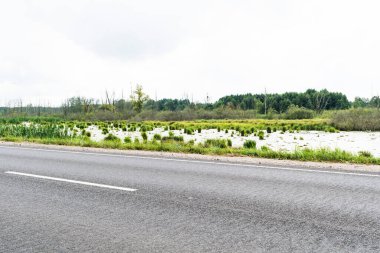Bataklık çamura bulanmıştı ve yol kenarında kuşlar vardı.