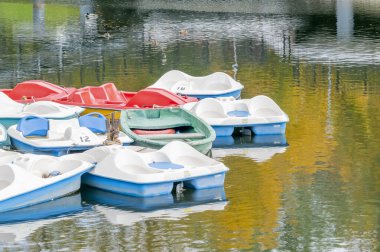 Yürüyüş için katamaranlar parktaki gölde.