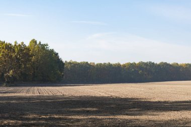 Şehrin dışındaki tarlaların yakınındaki ağaçlarla dolu sonbahar manzarası.