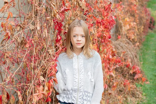 Маленькая Девочка Играет Дворе Дома Осенью — стоковое фото