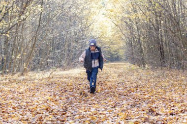 Küçük bir çocuk sonbaharda sarı yapraklarla ormanda koşar.