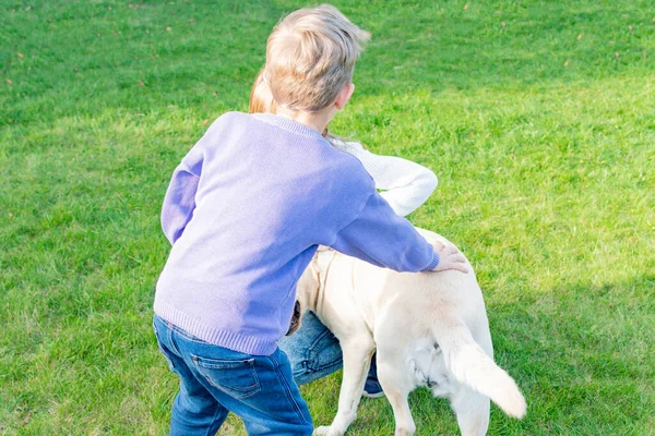 家の庭で犬と遊ぶ男の子 — ストック写真