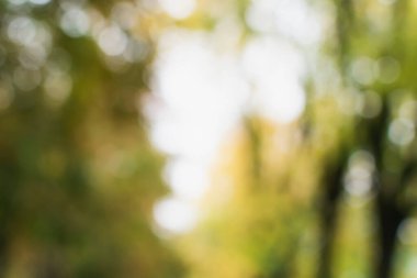 Bulanık görüntü. Şehrin sonbahar manzarası. Sıcak güneş sokakta ve Park 'ta parlıyor.