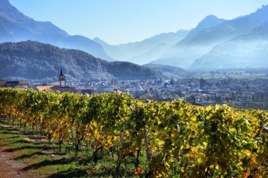 Lavaux bölgesi sonbahar günü, Vaud tarafından İsviçre görünümünde sonbahar üzüm bağları Panoraması