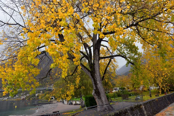 Причал Женевском Озере Монтрё Кантон Switzerland Осенью — стоковое фото