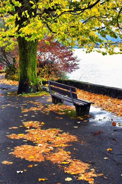 Pier Geneva Lake Montreux Vaud Canton Switzerlandof Autumn — Stock Photo, Image