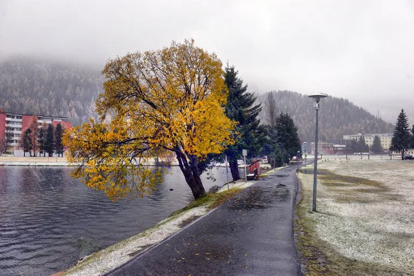 Vista Panoramica Autunnale Con Prima Neve Una Strada Sterrata Bagnata — Foto Stock