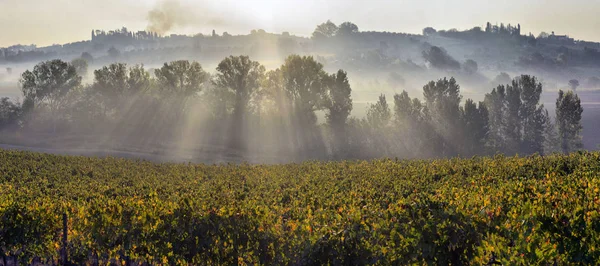 Paisagem Rural Típica Toscana Pôr Sol Sobre Colinas Terras Agrícolas — Fotografia de Stock