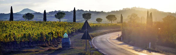 Typisk Tuscany Landsbygd Landskap Solnedgång Över Böljande Kullar Och Tuscany — Stockfoto