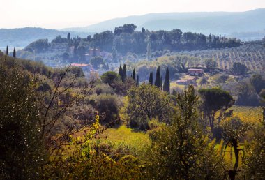 tipik Tuscany kırsal manzara; tepeler ve Tuscany tarım arazileri üzerinde günbatımı