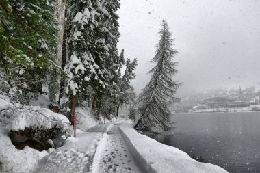 Dağlar, ağaçlar ve orman kar ve hoarfrost bulutlu bir gökyüzü arka plan üzerinde bir kir ıslak yolda ilk kar ile doğal sonbahar görünümü