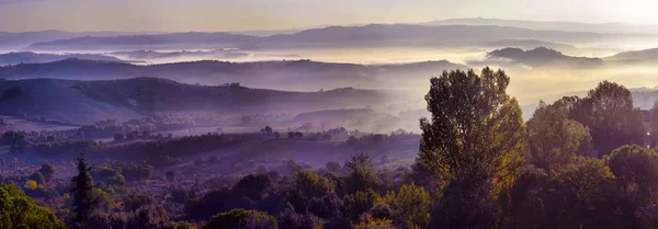 Rét Toscana Ködös Reggel Vidéki Táj Köd Alatt Napkelte Idő — Stock Fotó