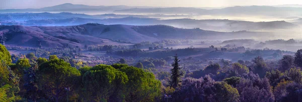 Rét Toscana Ködös Reggel Vidéki Táj Köd Alatt Napkelte Idő — Stock Fotó