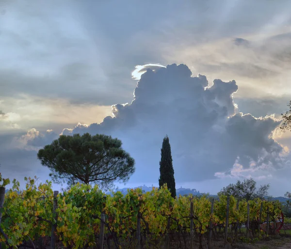 Typische Landschaft Der Toskana Sonnenuntergang Über Sanften Hügeln Und Toskanischem — Stockfoto