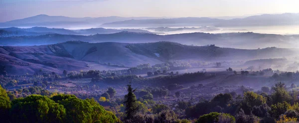 Rét Toscana Ködös Reggel Vidéki Táj Köd Alatt Napkelte Idő — Stock Fotó