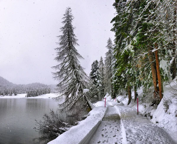 Vista Panorâmica Outono Com Primeira Neve Uma Estrada Úmida Terra — Fotografia de Stock