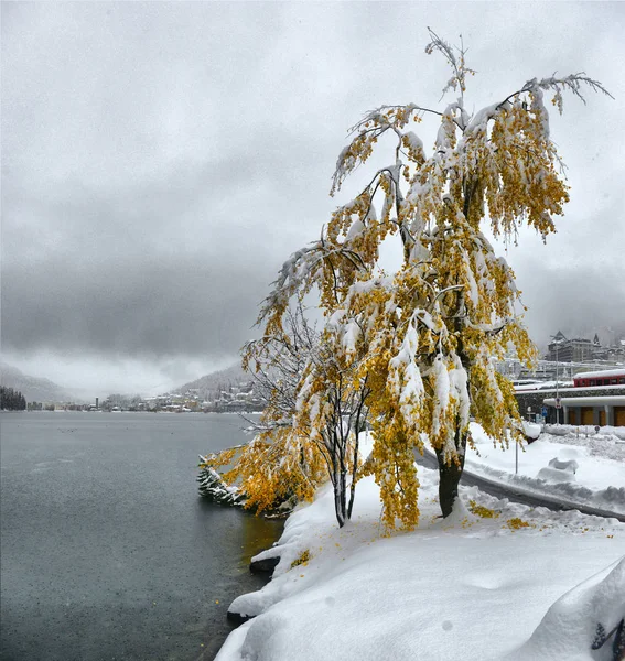 Vista Panorámica Otoño Con Primera Nieve Camino Húmedo Tierra Las — Foto de Stock