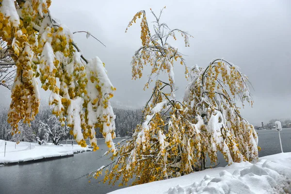 Vista Panoramica Autunnale Con Prima Neve Una Strada Sterrata Bagnata — Foto Stock