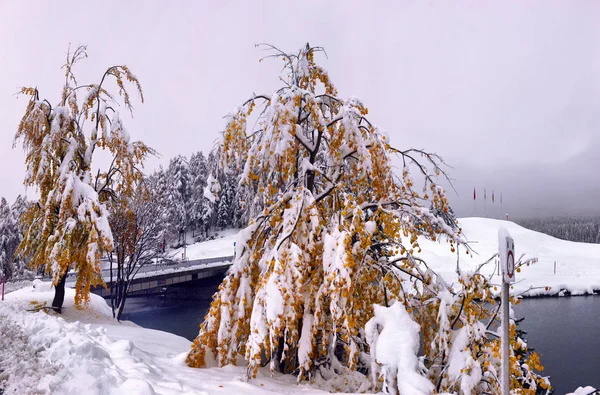 Γραφική Φθινοπωρινή Θέα Πρώτα Χιόνια Βρεγμένο Οδόστρωμα Βρωμιά Στα Βουνά — Φωτογραφία Αρχείου