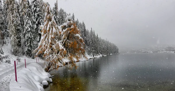 Vue Générale Lac Gelé Saint Moriyz Pendant Une Saison Hivernale — Photo