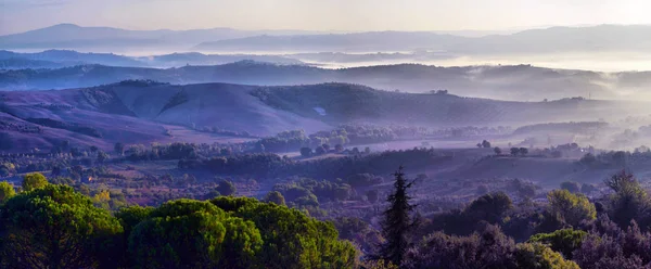 Pré Toscane Matin Brumeux Paysage Rural Dans Brouillard Pendant Lever Image En Vente