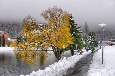 Dağlar, ağaçlar ve orman kar ve hoarfrost bulutlu bir gökyüzü arka plan üzerinde bir kir ıslak yolda ilk kar ile doğal sonbahar görünümü