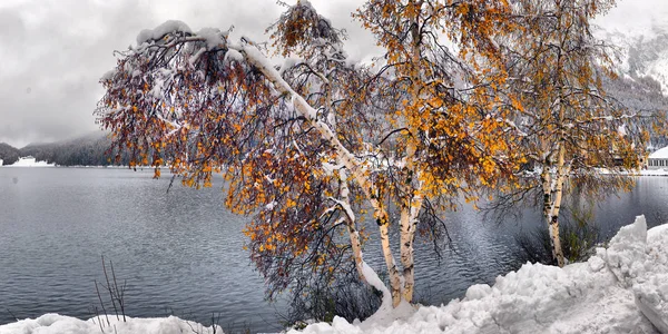 Malowniczy Widok Jesień Pierwszym Śniegiem Polnej Drodze Mokrej Górach Drzew — Zdjęcie stockowe