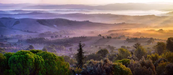 Pré Toscane Matin Brumeux Paysage Rural Dans Brouillard Pendant Lever Image En Vente