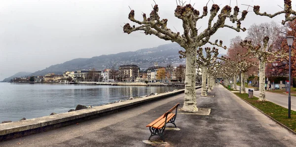 Träd Banvallen Staden Vevey Och Genèvesjön Kantonen Vaud Schweiz — Stockfoto